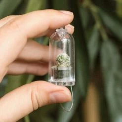 The Unusual Gift Company Pet Plants