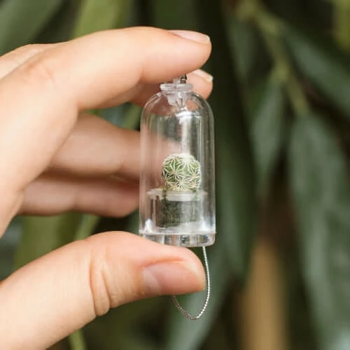 The Unusual Gift Company Pet Plants