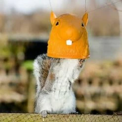 The Unusual Gift Company Big Head Squirrel Feeder