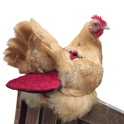 The Unusual Gift Company Chicken Nappy Eco Warriers