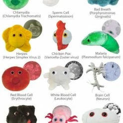 The Unusual Gift Company Doctors And Nurses Giant Microbes