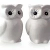 Invotis Novelty Gifts Owl Salt & Pepper Set