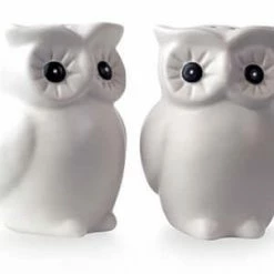 Invotis Novelty Gifts Owl Salt & Pepper Set