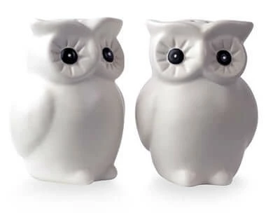 Invotis Novelty Gifts Owl Salt & Pepper Set