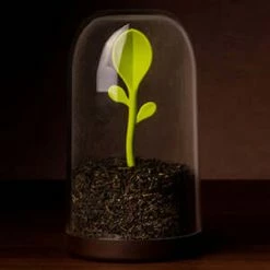 The Unusual Gift Company Sprout Storage Jar Gardeners