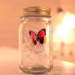 The Unusual Gift Company My Butterfly In A Jar Home & Lifestyle
