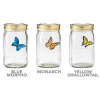 The Unusual Gift Company My Butterfly In A Jar Home & Lifestyle