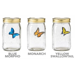 The Unusual Gift Company My Butterfly In A Jar Home & Lifestyle