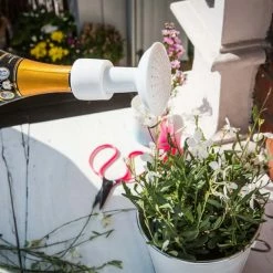 The Unusual Gift Company Champagne Shower