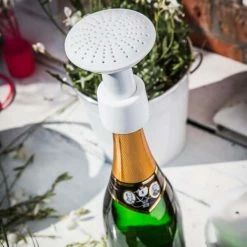 The Unusual Gift Company Champagne Shower