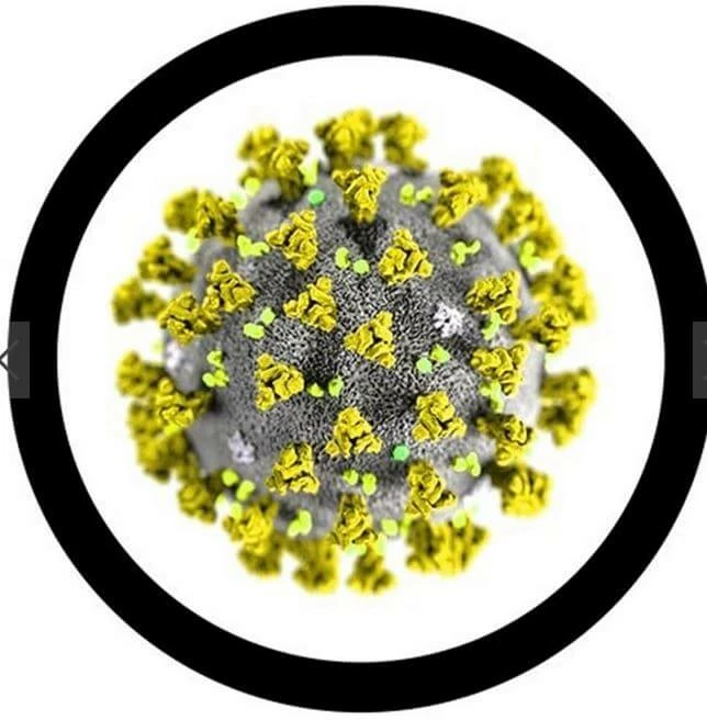 The Unusual Gift Company COVID-19 Plush