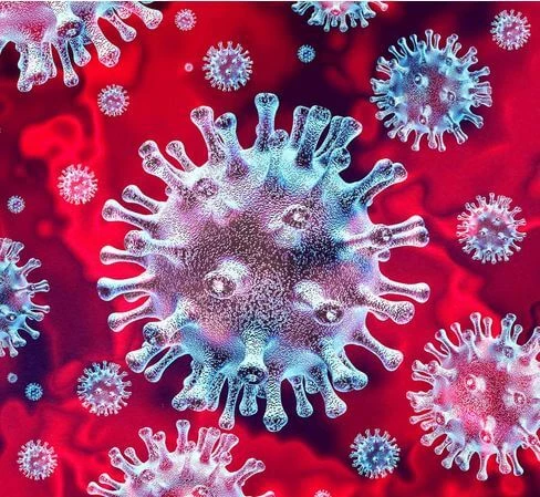 The Unusual Gift Company COVID-19 Plush