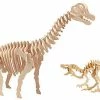 The Unusual Gift Company Dinosaur Construction Kits