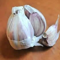 The Unusual Gift Company Dads Bash And Smash Garlic Crusher