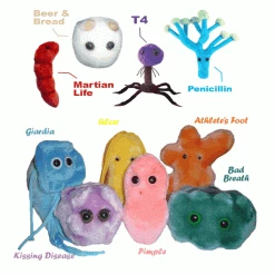 The Unusual Gift Company Doctors And Nurses Giant Microbes