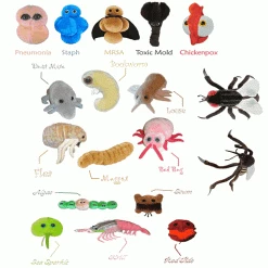 The Unusual Gift Company Doctors And Nurses Giant Microbes