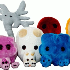 The Unusual Gift Company Doctors And Nurses Gigantic Microbes