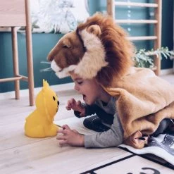 The Unusual Gift Company Lion First Light Home & Lifestyle