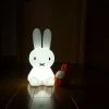 The Unusual Gift Company Miffy Lamp