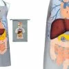 The Unusual Gift Company Organs Kitchen Apron Novelty Gifts