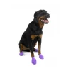 The Unusual Gift Company Pets Pawz Dog Boots