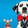 The Unusual Gift Company Pet Bow Tie Pets