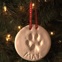 The Unusual Gift Company Pet's Paws Casting Kit Pets