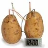 The Unusual Gift Company Potato Clock Weird Clocks