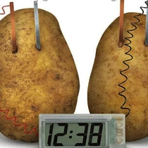 The Unusual Gift Company Potato Clock Weird Clocks