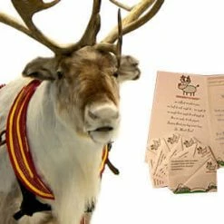 The Unusual Gift Company Reindeer Poo Writing Paper Funny Gifts