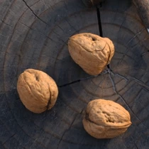 The Unusual Gift Company Retro Nutcracker Novelty Gifts