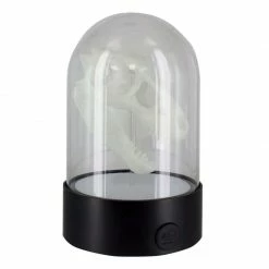 The Unusual Gift Company T Rex Skull Light
