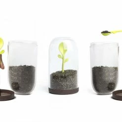 The Unusual Gift Company Sprout Storage Jar Gardeners