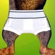 The Unusual Gift Company Squirrel Underpants Unusual Gifts