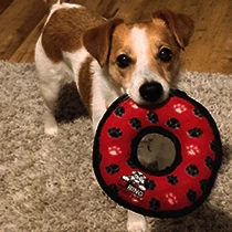 The Unusual Gift Company Pets Tuffy's Extremely Tough Dog Toys