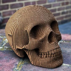 The Unusual Gift Company Vince Human Cardboard Skull