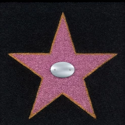 The Unusual Gift Company Walk Of Fame Doormat