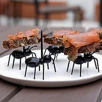 The Unusual Gift Company Home & Lifestyle Worker Ant Party Picks
