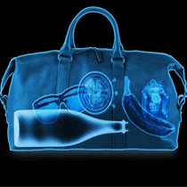 The Unusual Gift Company X-Ray Bag